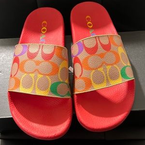 Rainbow Coach Slides